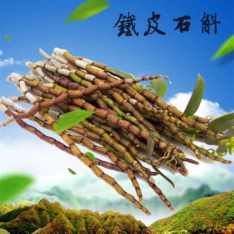 石魁功效|石斛的功效与作用及食用方法